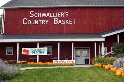 grocery-or-supermarket