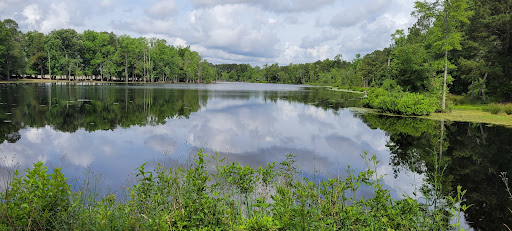 Penderlea Lake Campground - Thumbnail