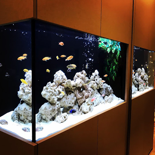 Complete Aquariums - Visual