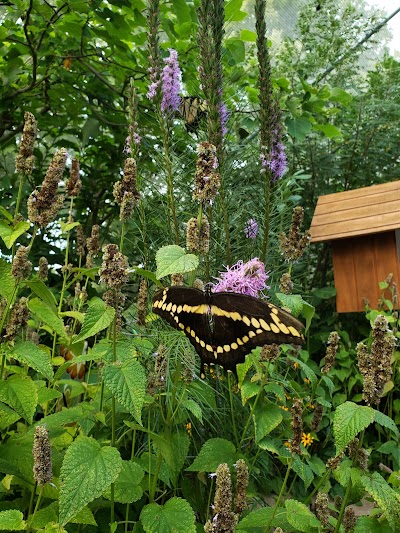 Springfield Botanical Gardens