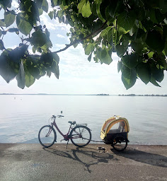 Photo n°10 de Véloc'Ouest - Location et Livraison de vélo en itinérance à Vannes (Magasin de vélos d'occasion)