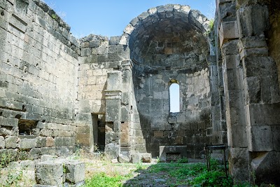 Photos of Tsiranavor