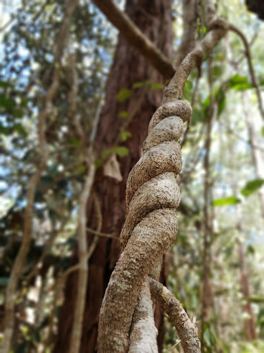 Millstream Conservation Park - Visual