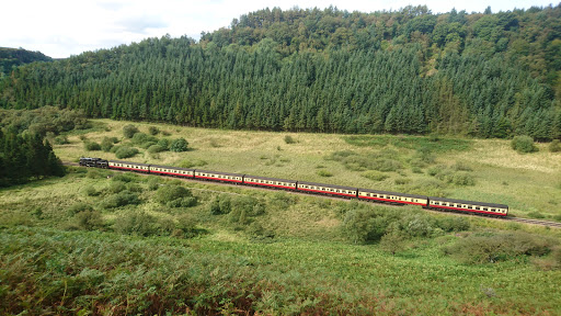 NEWTONDALE HALT - Thumbnail