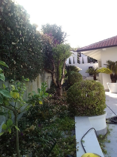 giardinieri e muratori specializzati - Thumbnail
