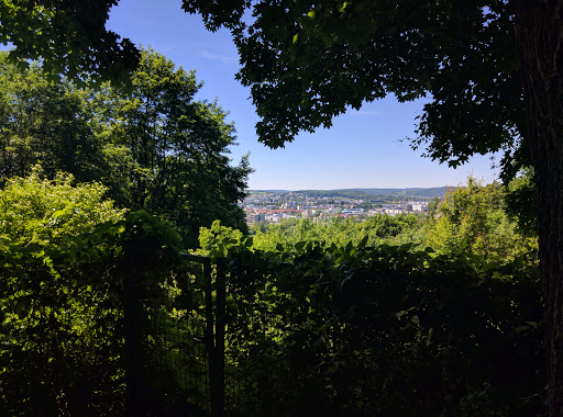 Baumhausen - Visual