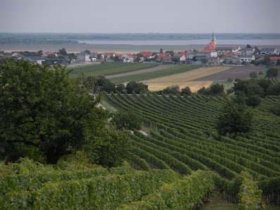 Winzerhof Richter - Jois