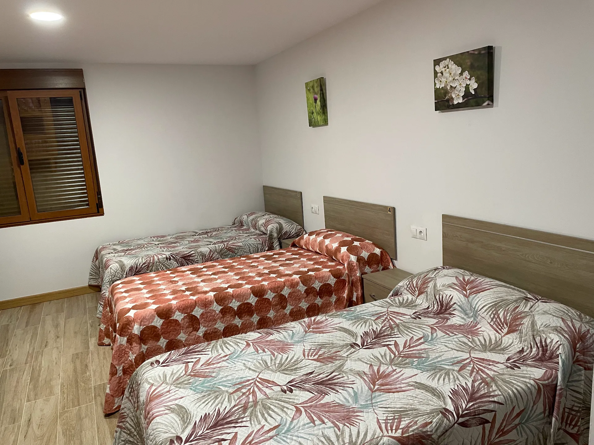 Albergue municipal Castro Domum