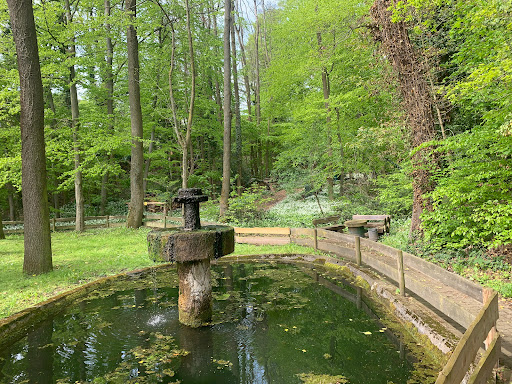 Wasserspeier und Schützenbrunnen in Todenmann