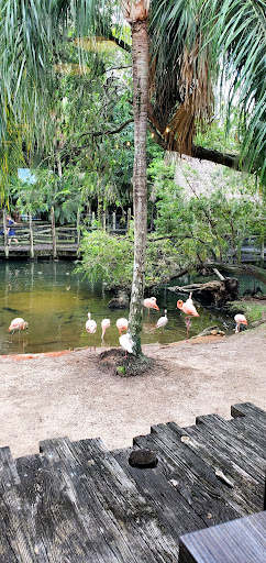 Tropics Café Gallery - United States