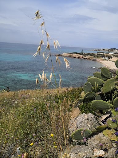 Pagina FB Santa Maria di Leuca - Thumbnail
