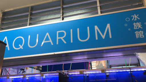 Baby Fish Aquarium
