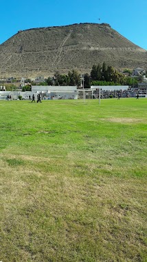 Estadio Municipal, Author: Fernando Favre