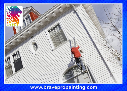 BravePro Painting - Thumbnail
