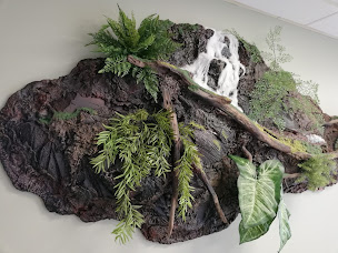 Photo n°1 de L'atelier Nature d'alain à Rodez (Artiste)