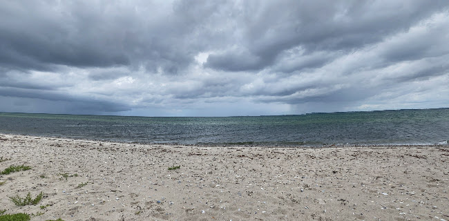 https://www.visitnordfyn.dk/nordfyn/aktiviteter/natur/oplev-enebaerodde