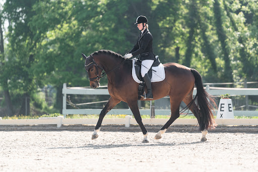 Tierphysio Schepperle - Visual