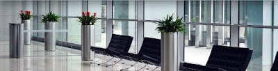 cleaning-service