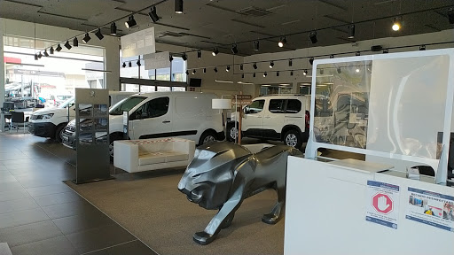 PEUGEOT STELLANTIS &YOU ALMERÍA - Thumbnail