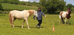 Photo n°8 de Equicoaching 82 - Développement professionnel et personnel à Montauban Tarn et Garonne à Puylaroque (Coaching professionnel)