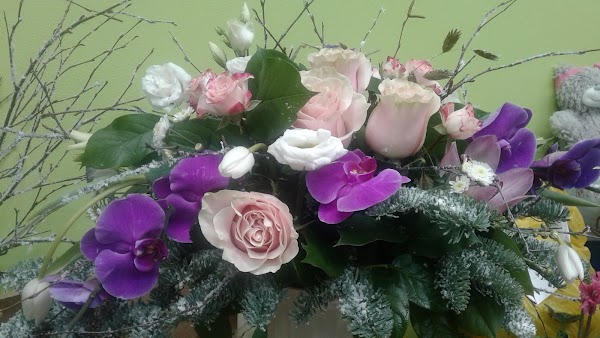 Семена билецкого 1 сургут. Флориаль сургут скидка. На каролинского цветы сургут. Флориаль сургут. Сургут в цветах.