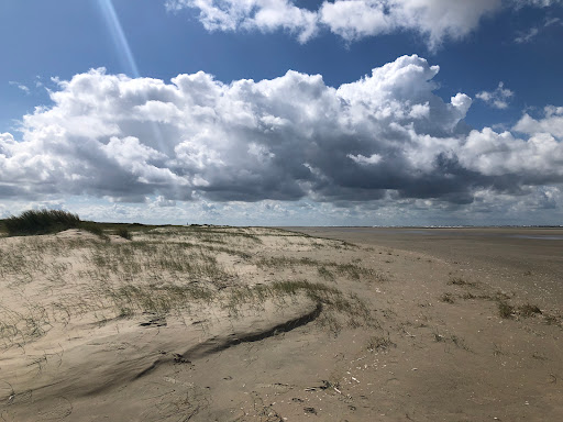 Duinen van Goeree - Thumbnail