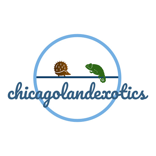 Chicagoland Exotics - Visual