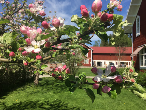 Bäcktorps Gård - Visual