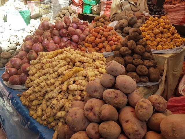 Mercado San Camilo