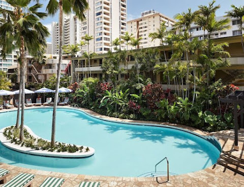 Wayfinder Waikiki by null