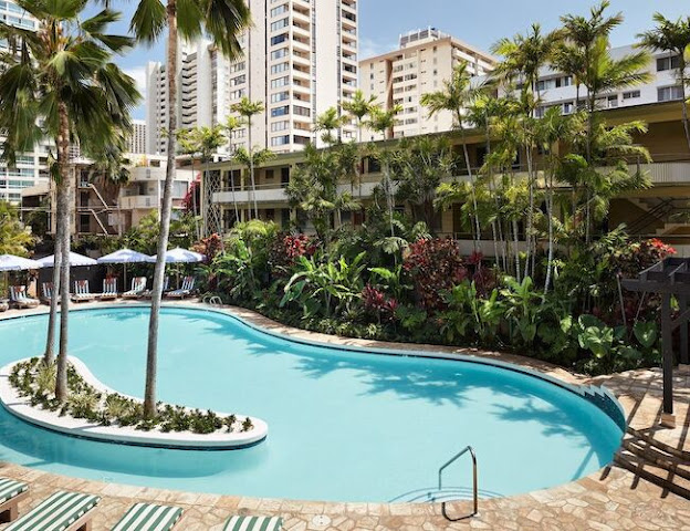 Wayfinder Waikiki by null