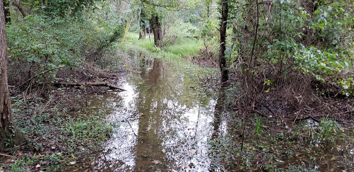 Bridge to Bridge Trail - Thumbnail