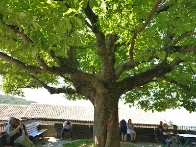 Photos of Santuario della Beata Vergine di Castelmonte