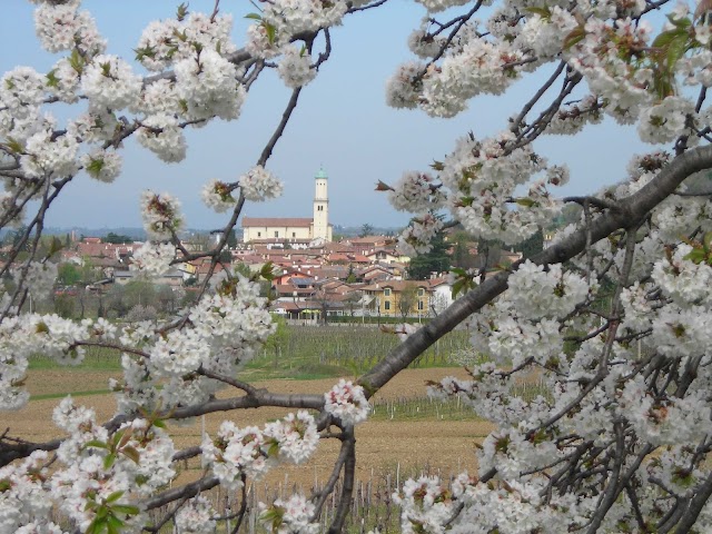 Agriturismo Nonno Lince