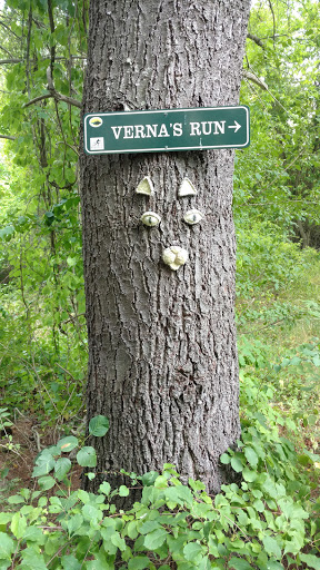 Sewall Woods - Thumbnail