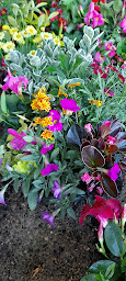 Photo n°10 de Castagnous EARL à Bassercles (Jardinier)