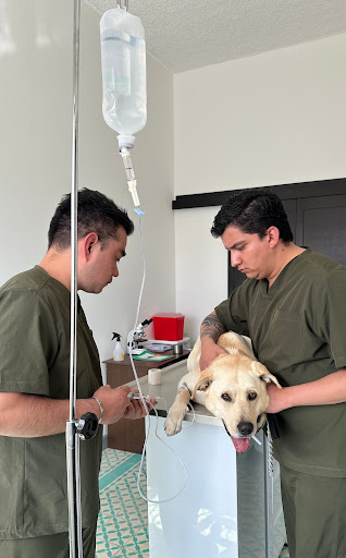 Huellas de Salud | Clínica Veterinaria