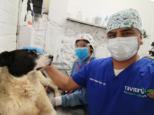 VETERINARIA "FERVET"
