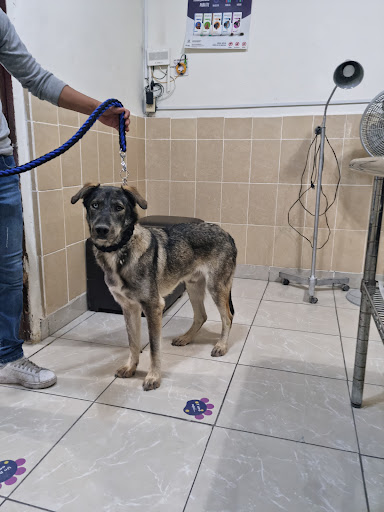 Veterinaria El Ángel
