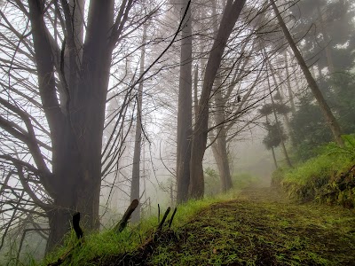 Kula Forest Reserve