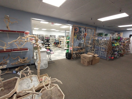 In A Pickle Parrot Shop - Thumbnail