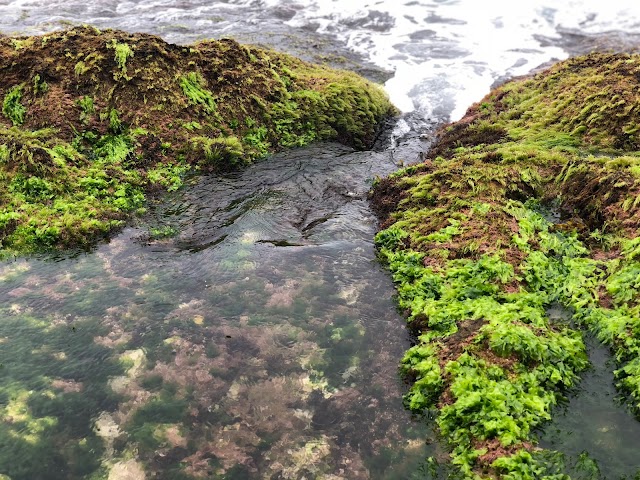 Ho'okipa Beach Park