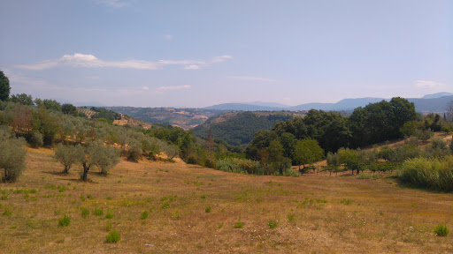 Associaz. Turistica Proloco di Frasso Sabino - Thumbnail