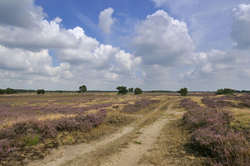 Toegangspoort De Plaetse