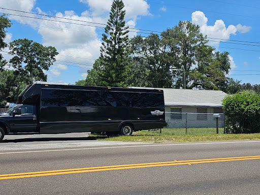 L3 LIMO - Visual