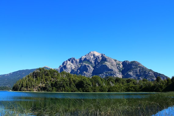 Camping Bosque de Arrayanes, Author: Edwards Wzxm