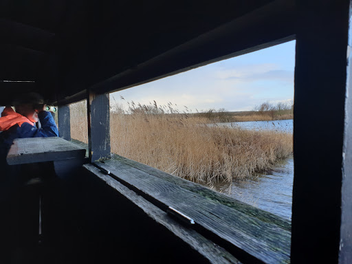 Boetje van onze Kees - Thumbnail