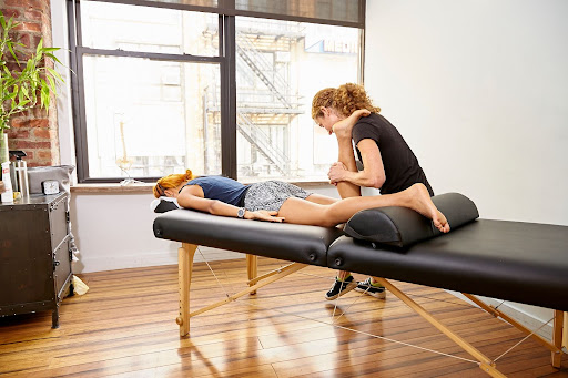 Physio Logic - Visual