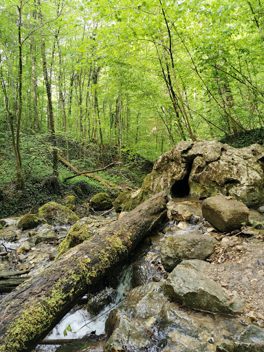 Zipfelbachtal - Thumbnail