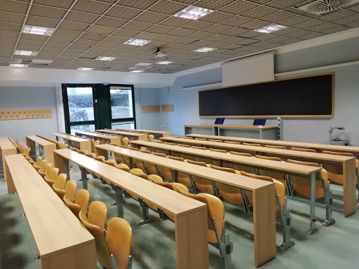 Learning Center Morgagni - Visual